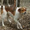 LOKI - ein -Gott zwischen den Welten-
