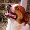 LOKI - ein -Gott zwischen den Welten-