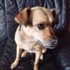 Bimba (45 cm) ist ein sanfter Schatz!