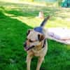 Bimba (45 cm) ist ein sanfter Schatz!