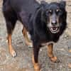 Liebe sanfte ANNA