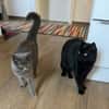 Mimi & Dean ein ruhiges Dreamteam