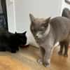 Mimi & Dean ein ruhiges Dreamteam