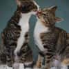 Judy & Zuza ein tolles Dreamteam