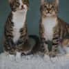 Judy & Zuza ein tolles Dreamteam