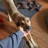 aufmerksame Nena sucht Familie
