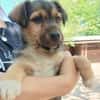 Jamy sucht Familienanschluß