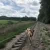 Glücksgriff liebe Toto sucht Glückfamily
