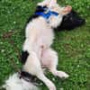 Nelson, gute Laune Paket