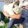 Naira sucht ein geduldiges Zuhause