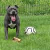 ROSCO
