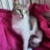 Soukaina