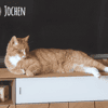 Jochen sucht ruhige gefühlvolle Menschen