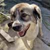 Luna sucht Dich