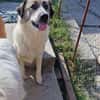Luna sucht Dich