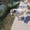 Luna sucht Dich