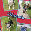 Manolo- auf PS in München!