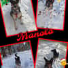 Manolo- auf PS in München!