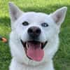 Daisy Snow - Schneekönigin sucht Familie