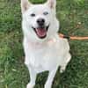 Daisy Snow - Schneekönigin sucht Familie