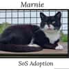MARNIE