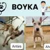 BOYKA (Maria)