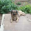 Floralie