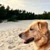 Jule sucht neues Zuhause