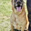 RUBY in 91616 Neusitz 🆘🆘🆘🆘🆘🆘🆘🆘