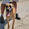 RUBY in 91616 Neusitz 🆘🆘🆘🆘🆘🆘🆘🆘