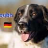 Boubis Notfall -  Wachsamer Begleiter