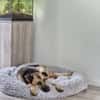 Lieber LORCC sucht liebes Zuhause