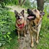 Lieber LORCC sucht liebes Zuhause