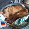 Xabu - Bildschöner Podenco