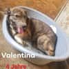 Valentina 💛💛💛 verschmust, anhänglich