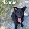 Die Youngsters sind los - Bonnie!