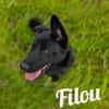 Die Youngsters sind los - Filou!