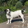 Bili sucht ihre Familie