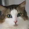 YURY