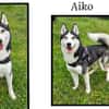AÏKO