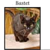 Bastet