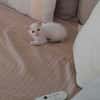 Lily Rose, la douce peluche