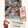 Atchoum