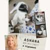 Ashana
