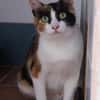Liebevolle Katzenmama Estela