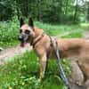 NOTFALL🙏🆘 RUBY sucht  ‼🆘