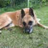 NOTFALL🙏🆘 RUBY sucht  ‼🆘