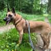 NOTFALL🙏🆘 RUBY sucht  ‼🆘