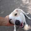 Lucy`s Besitzer sind leider verstorben