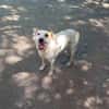 Lucy`s Besitzer sind leider verstorben